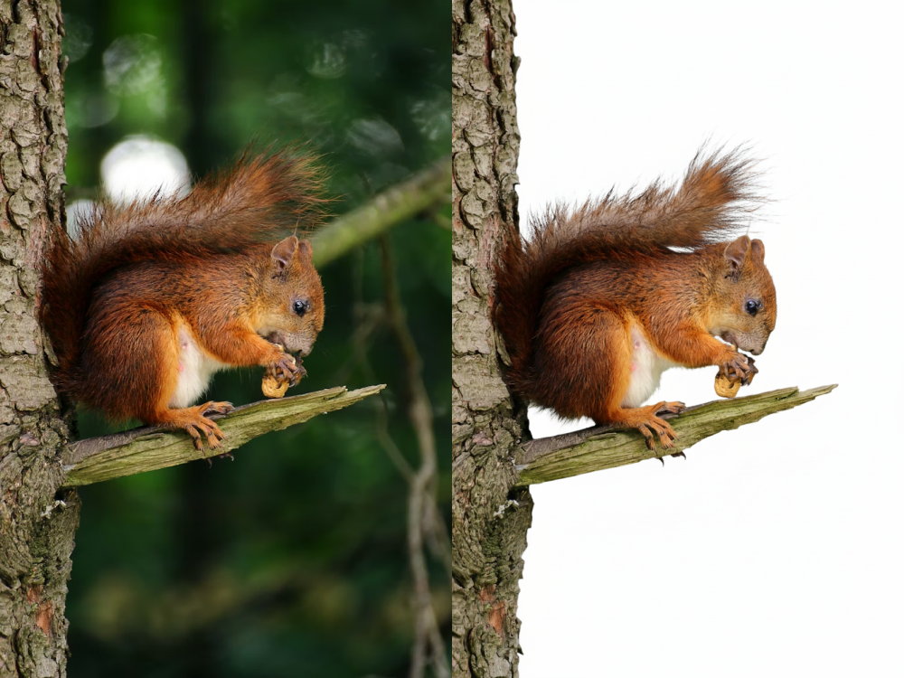 White background for Creative professional editing images